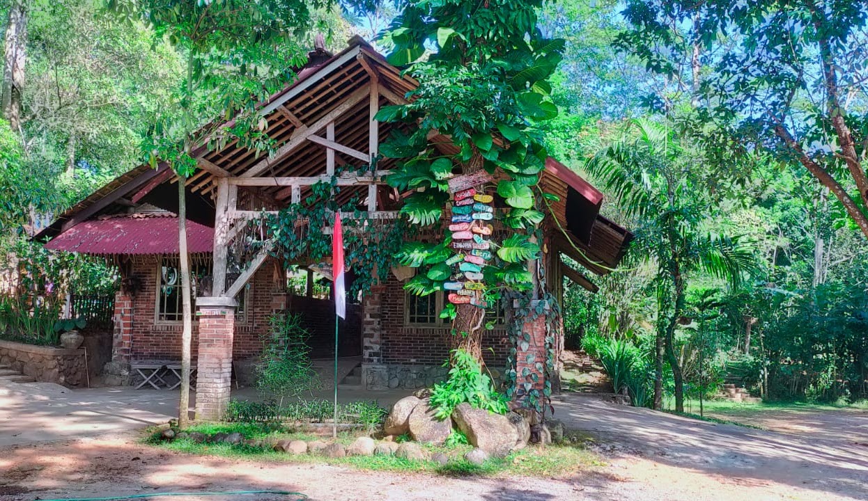 Tampak Depan Jungle School